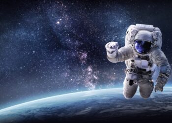Image: dimazel/stock.adobe.com